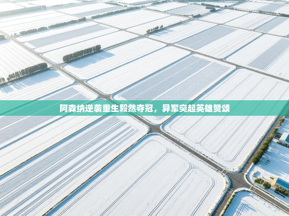 阿森纳逆袭重生毅然夺冠，异军突起英雄赞颂  第1张