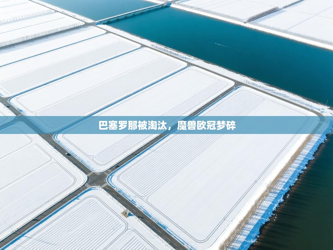 巴塞罗那被淘汰，魔兽欧冠梦碎